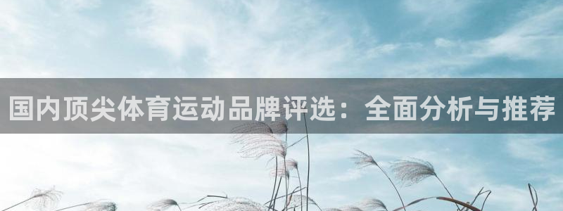 vsport体育在线官网