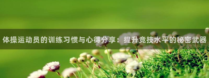 vsport体育在线官网