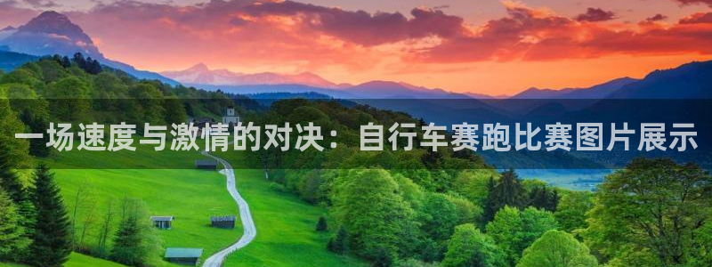 vsport体育在线官网