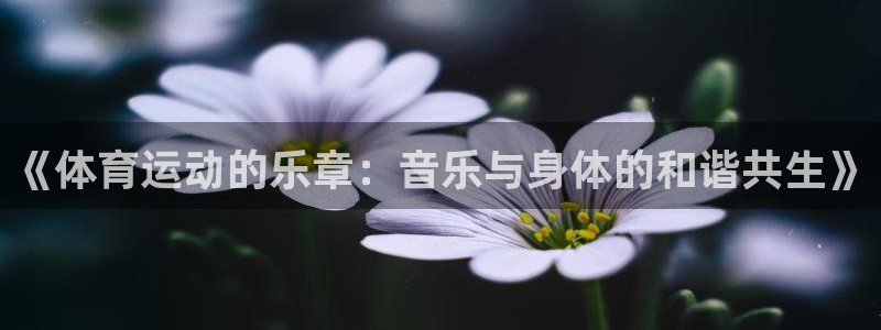 vsport体育在线官网：《体育运动的乐章：音乐与身体的和谐共生》