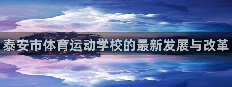 vsport体育在线官网：泰安市体育运动学校的最新发展与改革