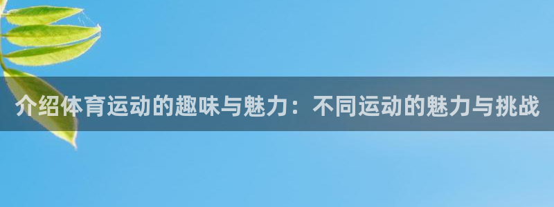 vsport体育
