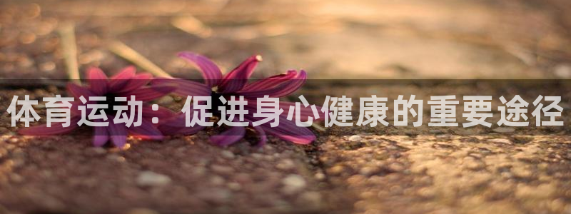 vsport体育：体育运动：促进身心健康的重要途径