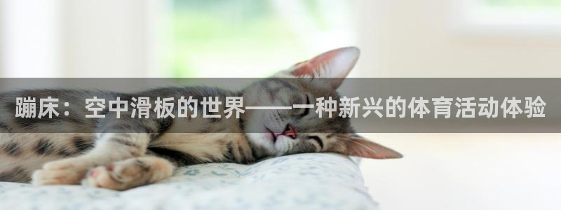 vsport体育在线官网：蹦床：空中滑板的世界——一种新兴的体育活动体验