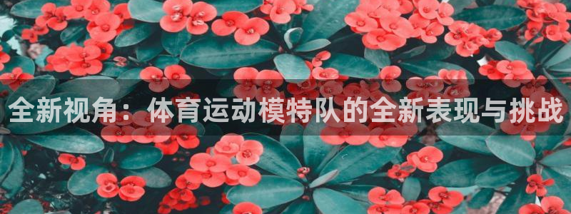 vsport体育在线官网